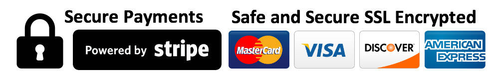 Logo Payment